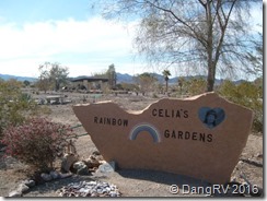 Celia's Rainbow Gardens Celia's Rainbow Gardens